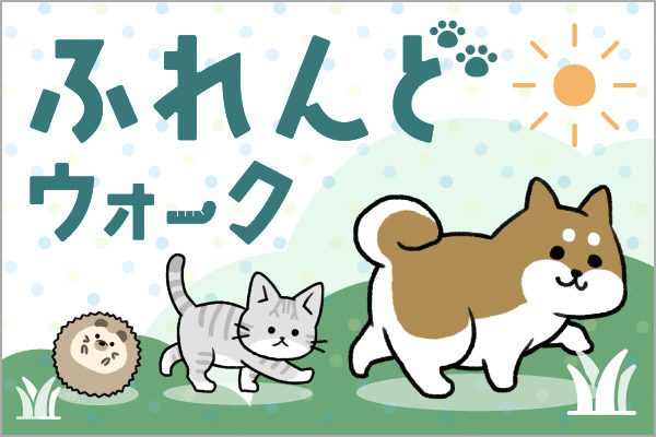 毎日の歩数をごほうびに